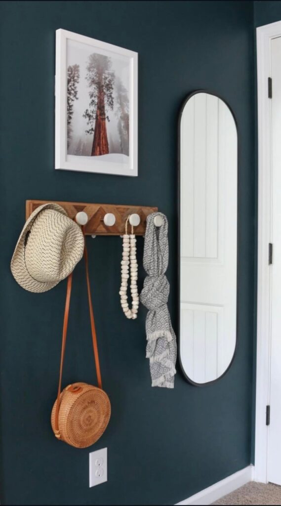 Wall hooks with scarf, handbag, and hat hanging on it.