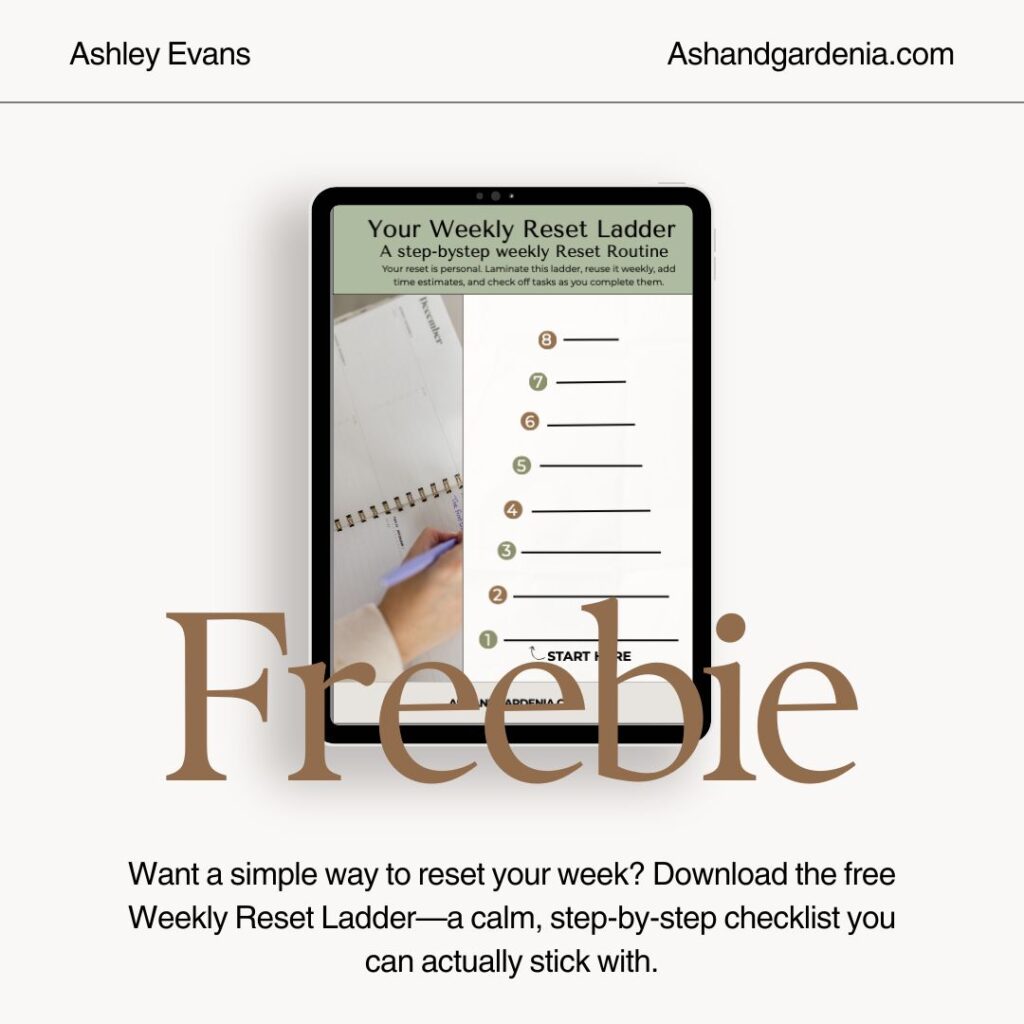 Weekly reset ladder freebie lead magnet picture. 